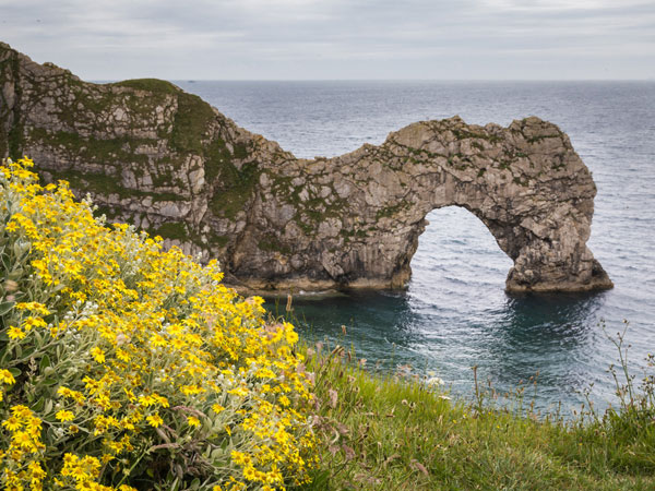 Waste Collection Services in Dorset